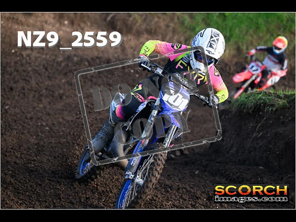 Experts-143