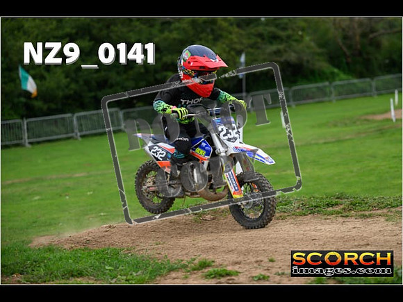 PeeWee Track-55