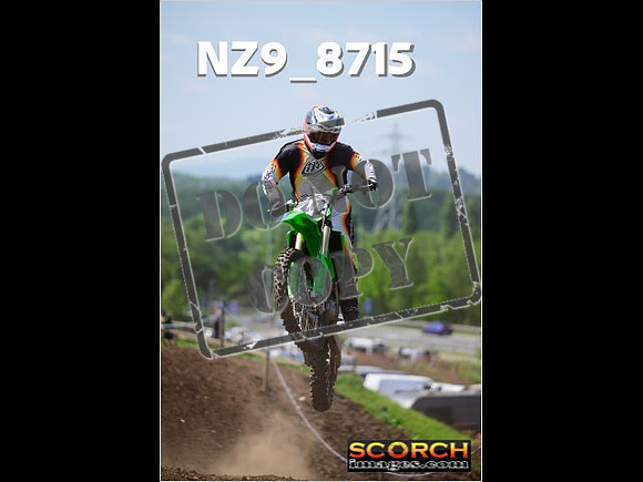 IntersGreenOrange-378