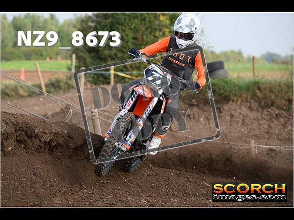 Experts-079