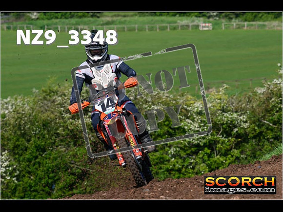 Experts-046