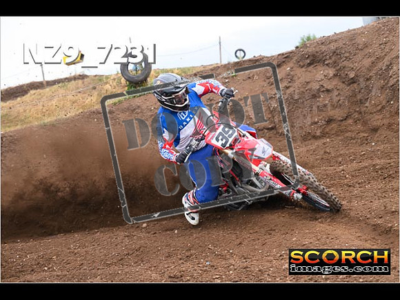 Orange-Futures-088