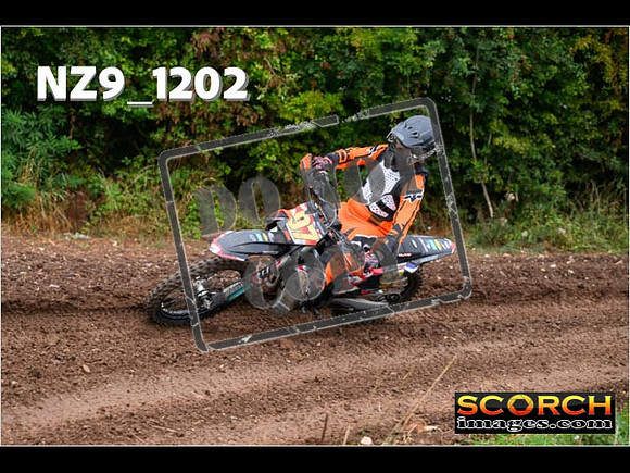 Experts-081