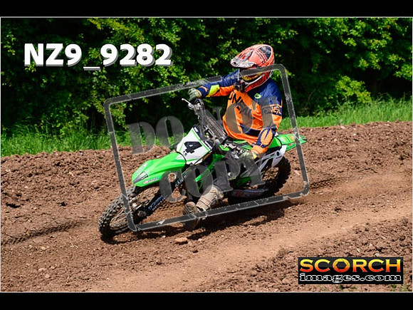 IntersGreenOrange-462