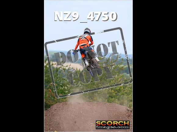 Experts-132