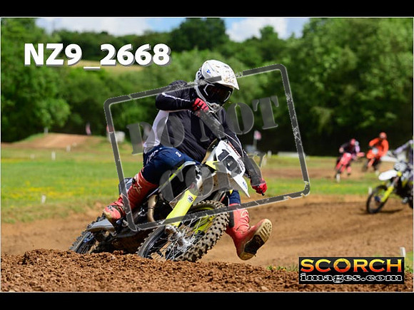 Novice-257