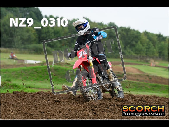 Novice-279