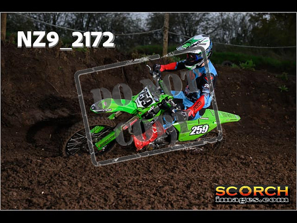 Experts-176