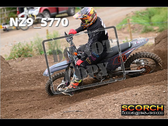 Experts-240