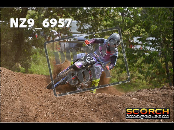 Experts-355