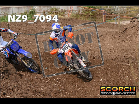 Experts-485