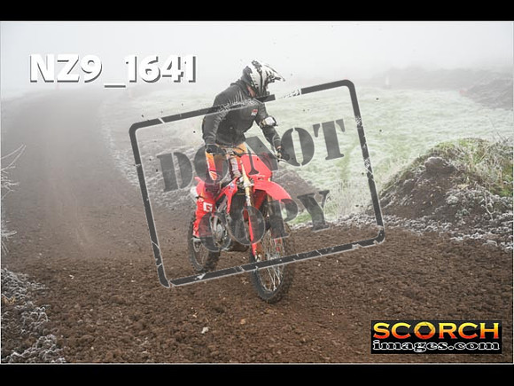 Intermediates-161