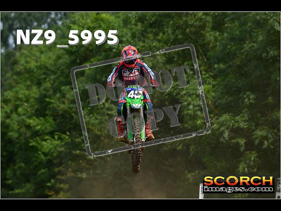 Experts-081