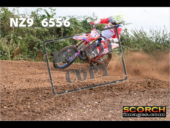 Experts-265