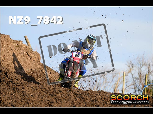 Experts-059