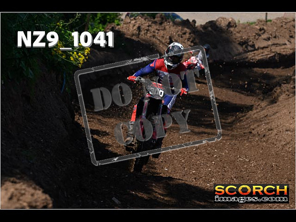 Experts-119