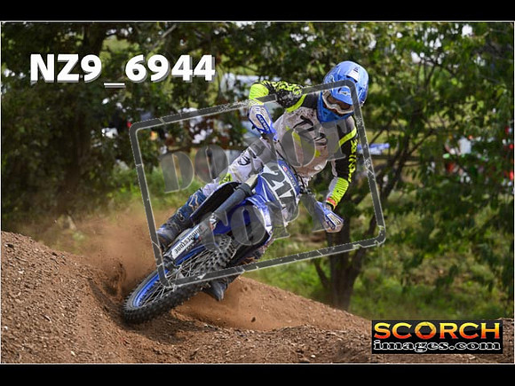 Experts-342