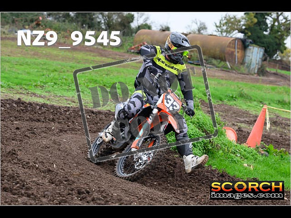 IntersGreen-086