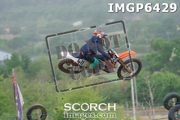 IMGP6429
