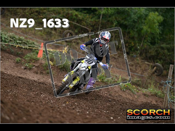IntersGreenOrange-039