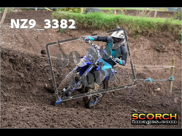 Inters-319