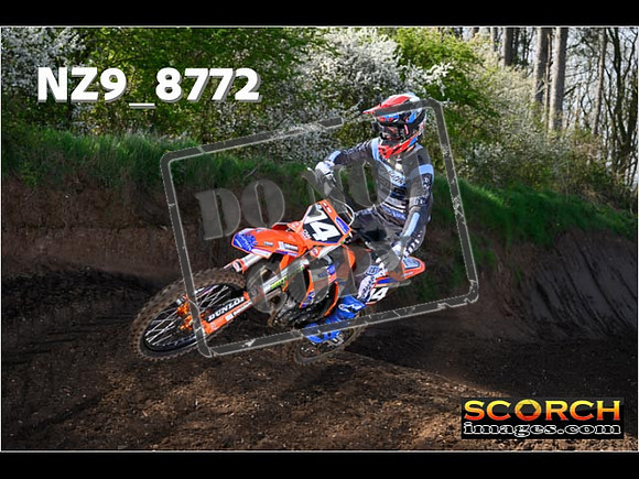 Experts-017