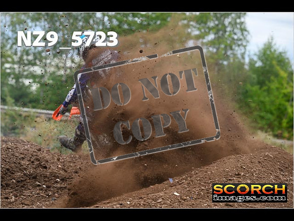 Experts-193