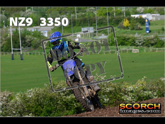 Experts-048