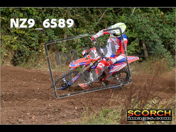 Experts-295