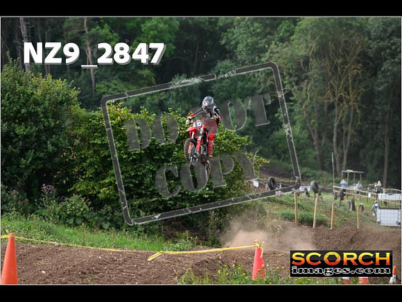 Experts-065