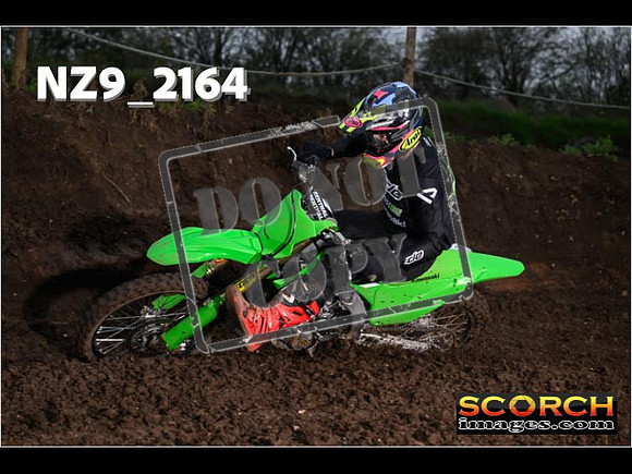 Experts-169
