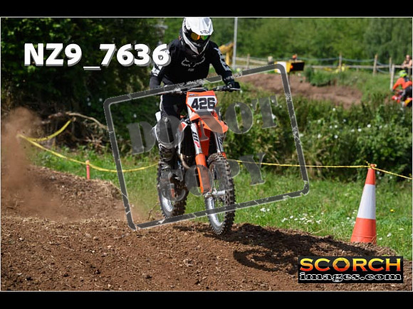 IntersGreenOrange-124