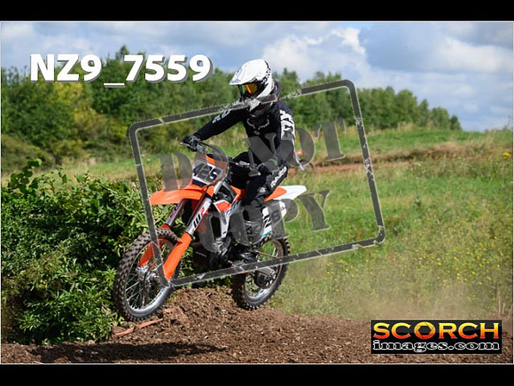 IntersGreenOrange-047