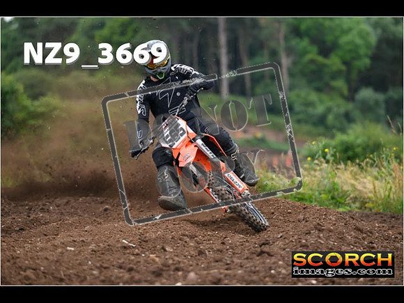Experts-077