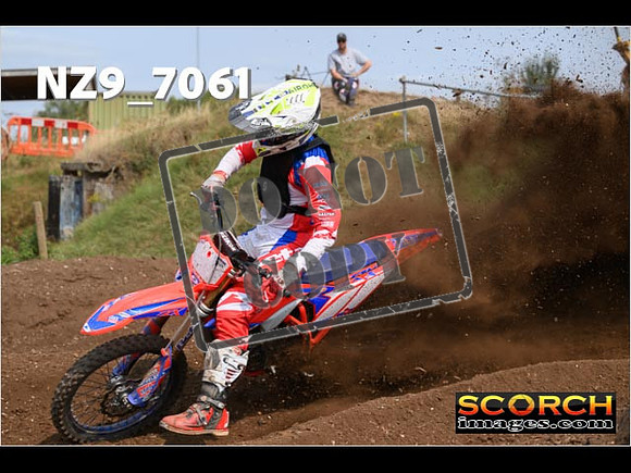 Experts-457