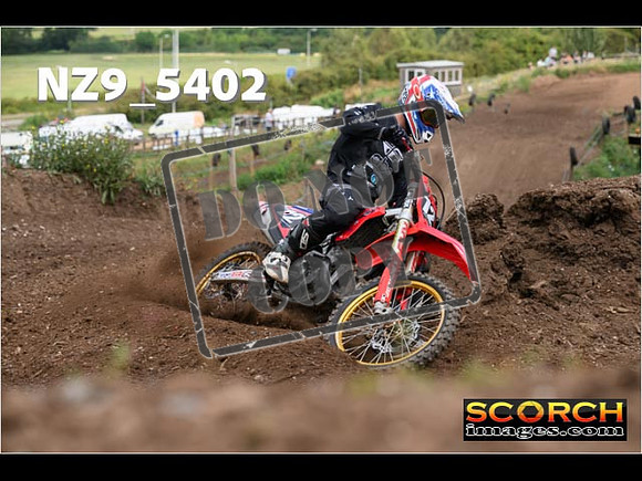 Experts-178