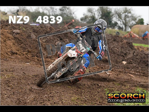 Experts-315
