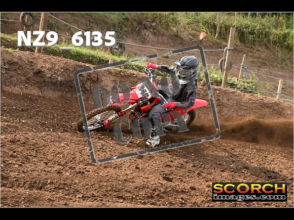 Experts-050