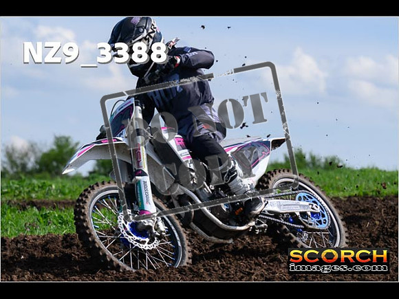 Experts-082