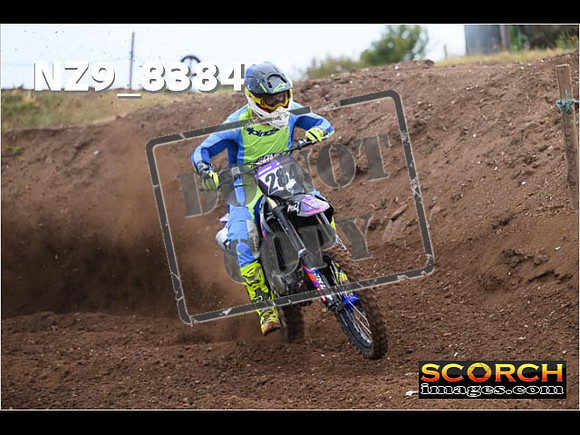 Experts-076
