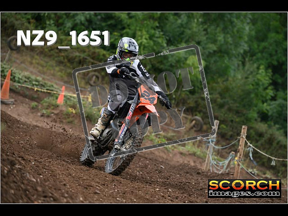 IntersGreenOrange-057