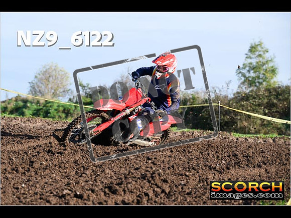 Experts-151