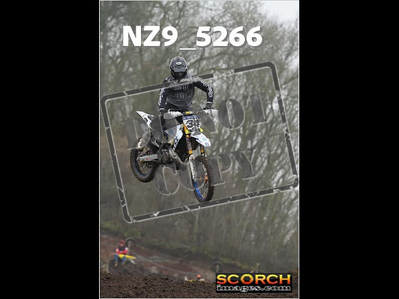 Experts-124