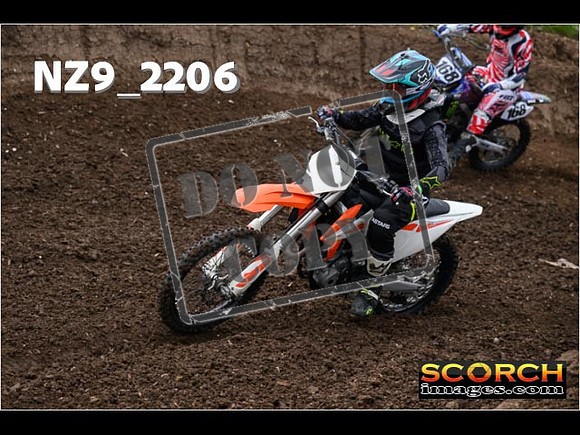 Inters GreenOrange-016