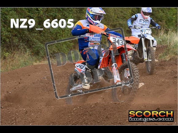 Experts-310