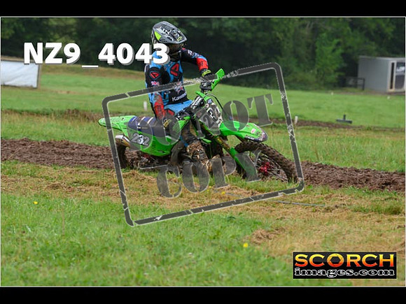 Experts-117