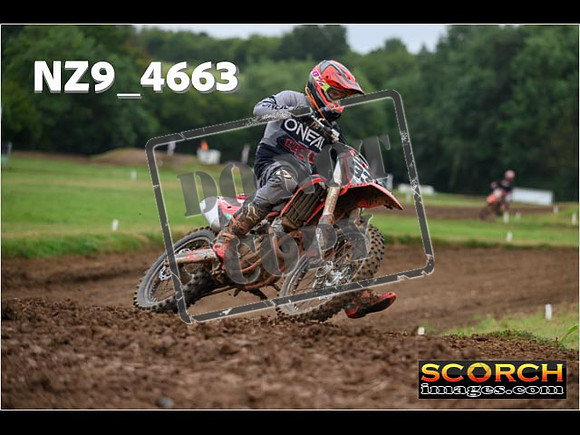 Experts-144