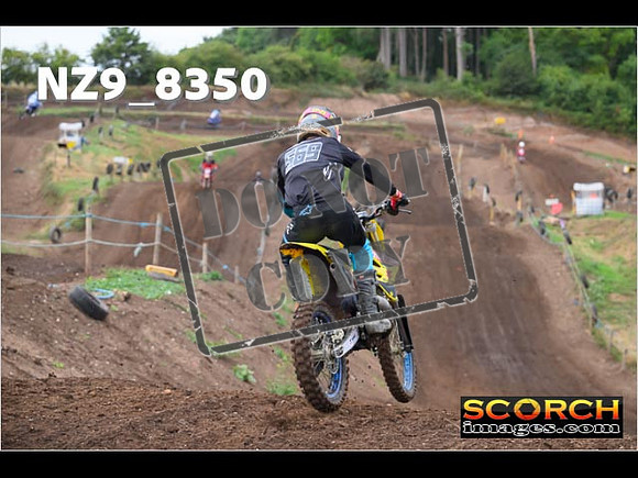 Experts-043