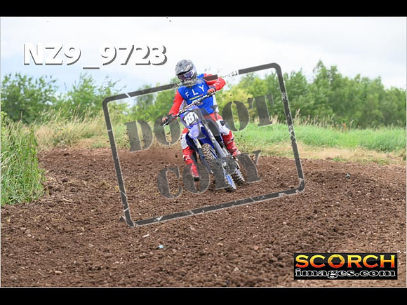 Experts-115