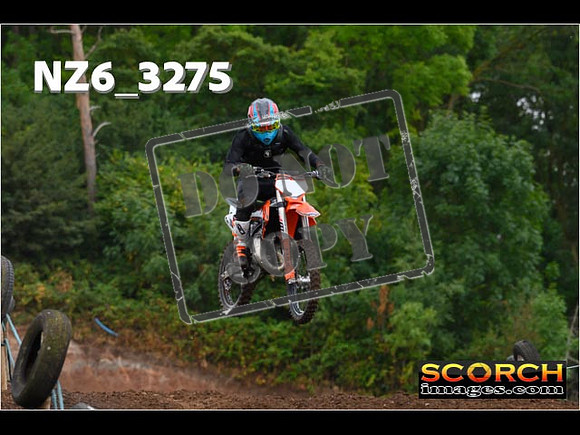 Experts-054